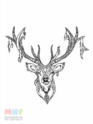 Раскраска Олень запнулся об пень