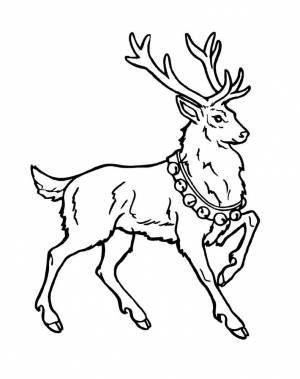 Раскраска новогодний Олень