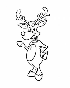 Раскраска Олень