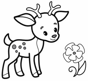 Раскраска Красивый олененок