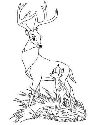 Раскраски Олененок