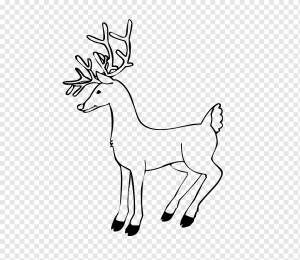 Олень Рудольф Санта-Клаус Книжка-раскраска, Рога оленя, рога оленя, белый, млекопитающее png