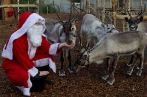 Рождественский экипаж