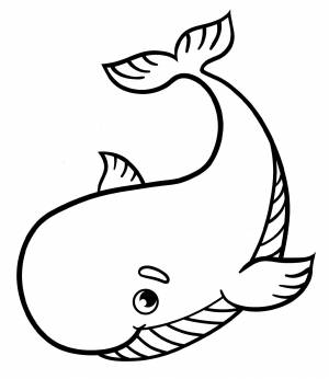 Кит картинка раскраска