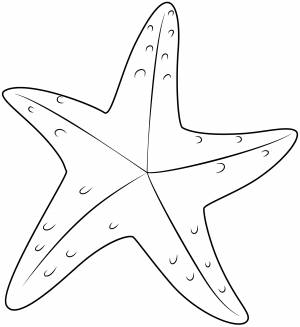 Шаблон для печати морской звезды