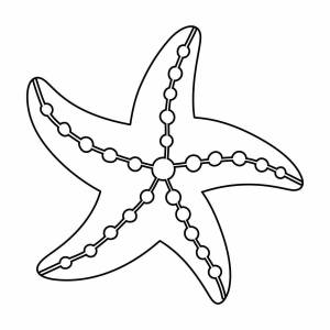 Раскраски подводный мир морская звезда