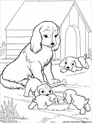 Собака и щенок раскраска