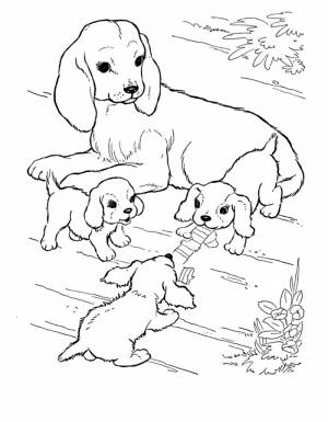 Раскраска Щенок