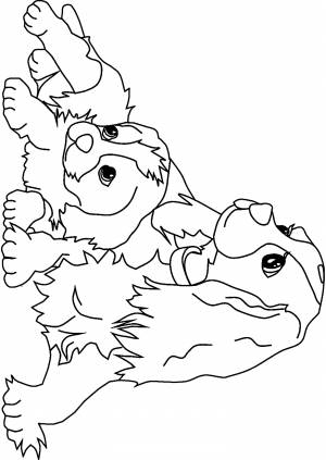 Раскраски щенок, Раскраска Щенок и собака собаки