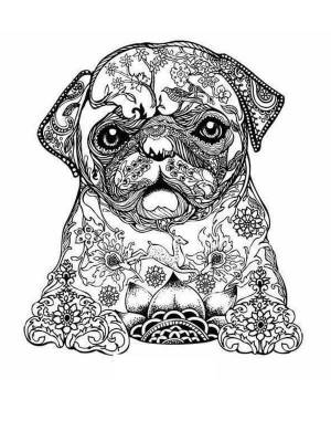 Раскраски Антистресс собака