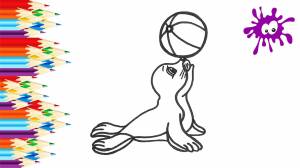 Как нарисовать МОРСКОГО КОТИКА