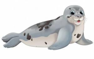 Рисунки карандашом морские котики