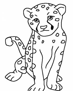 Раскраска маленький леопард