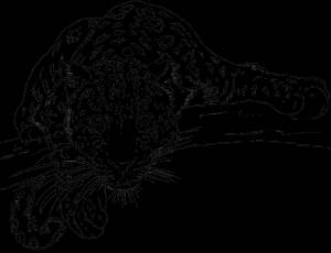 Раскраски Леопард  в хорошем качестве,  ,  на VipRaskraski