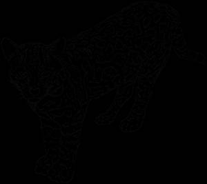 Раскраски Леопард  в хорошем качестве,  ,  на VipRaskraski