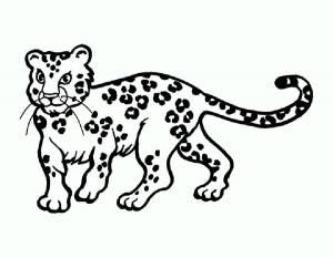 Раскраска Леопард