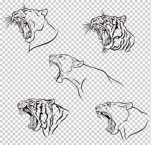 Тигр леопард черная пантера Wildcat Felidae, пасть леопарда, угол, белый, млекопитающее png