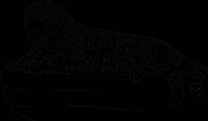 Дальневосточный леопард рисунок для детей