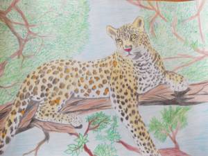 Дальневосточный леопард рисунок