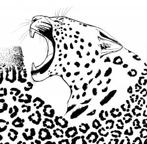 Леопард раскраска