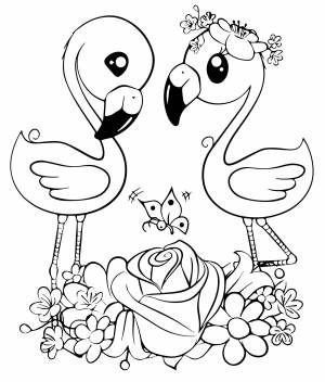 Маленький фламинго