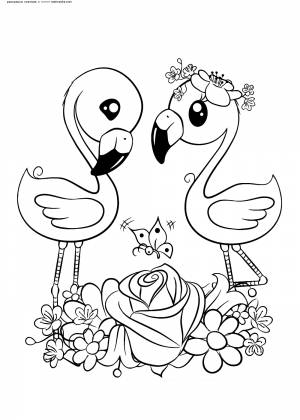 Раскраска Фламинго