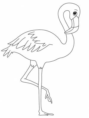 Раскраска милый фламинго 3