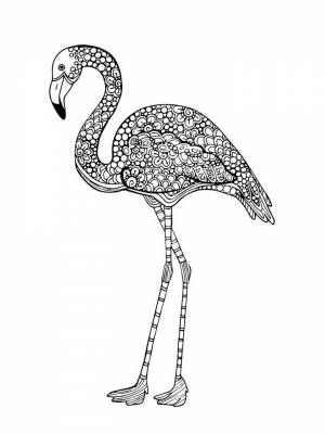 Картинка Фламинго Антистресс  раскраску для девочек