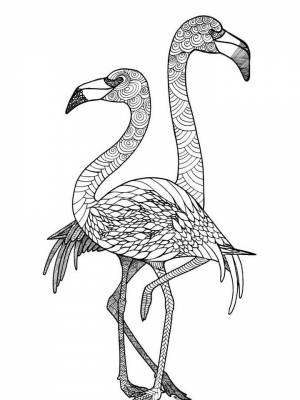 Раскраска Фламинго Антистресс  в формате  онлайн