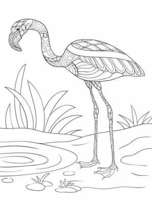 Раскраски Фламинго Антистресс   в формате