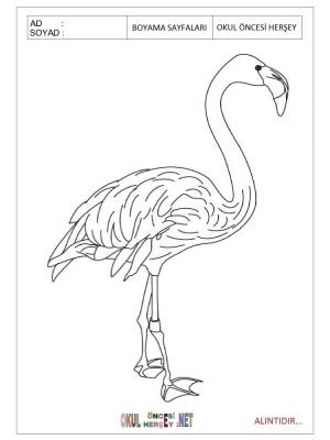 Раскраска розовый фламинго