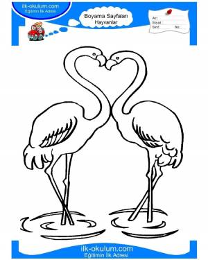 Раскраска розовый фламинго