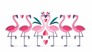 Фламинго раскраска