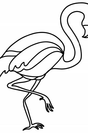 Раскраска фламинго ♥ Онлайн и !