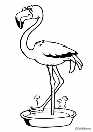 Раскраска Розовый фламинго