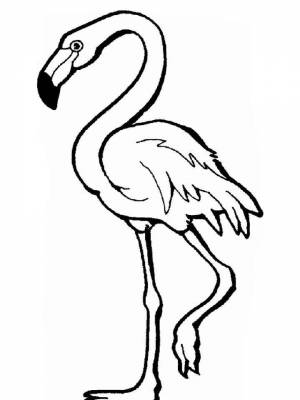 Раскраска Фламинго картинка в формате  для девочек