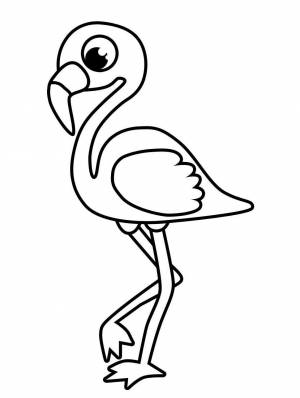 Раскраска Фламинго   в формате