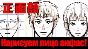 Нарисуем лицо анфас!