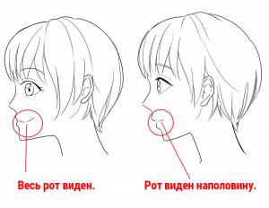 Для новичков] Научитесь рисовать профиль!