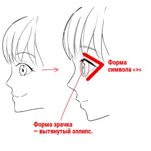 Для новичков] Научитесь рисовать профиль!