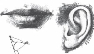 Как научиться рисовать портреты? Советы и инструкции от школы живописи Artville