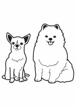 Раскраски собаки