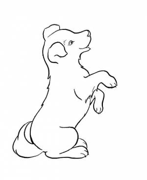 Раскраски рисунок, Раскраска Рисунок собаки домашние животные