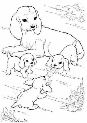 Раскраски собаки раскраска