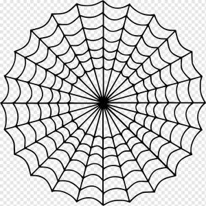 Паутина Раскраска Детский рисунок, паук, угол, белый, ребенок png