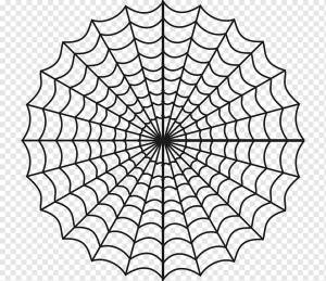 Паутина Книжка-раскраска Ребёнок, паутина, угол, ребенок, лист png