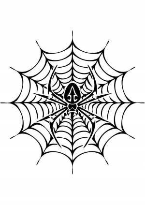 Раскраска паутина
