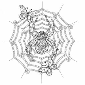 Паук и бабочка