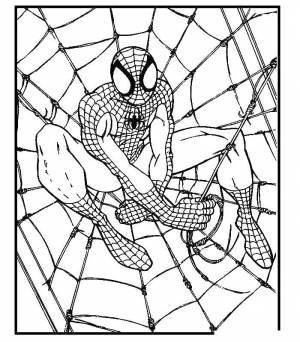 Раскраски паутине, Раскраска Человек паук на паутине человек паук