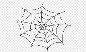 Паутина Рисование, паутина, угол, белый, лист png